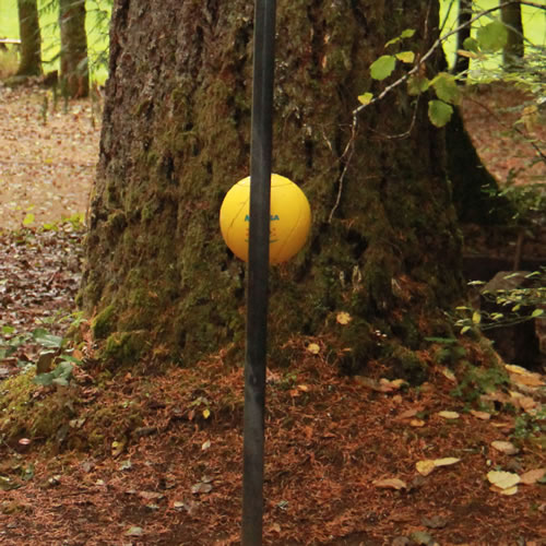 Tether Ball